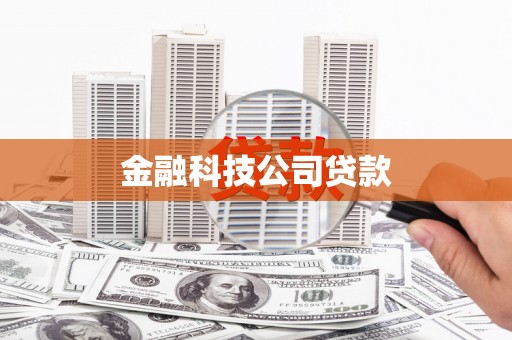 狮子山金融科技公司贷款