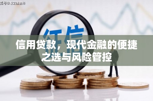 狮子山信用贷款，现代金融的便捷之选与风险管控
