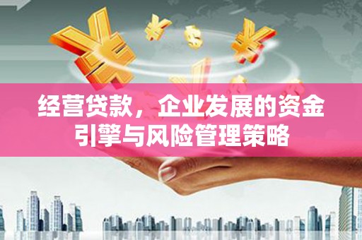 狮子山经营贷款，企业发展的资金引擎与风险管理策略