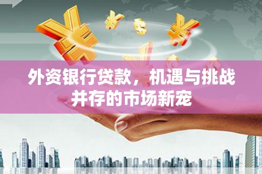 狮子山外资银行贷款，机遇与挑战并存的市场新宠