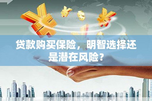 狮子山贷款购买保险，明智选择还是潜在风险？
