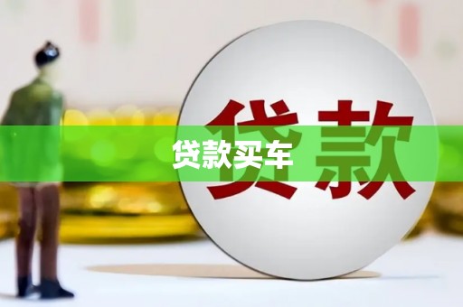 狮子山贷款买车