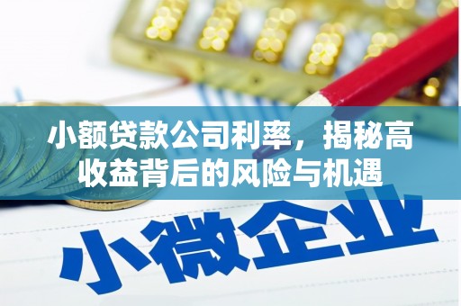 狮子山小额贷款公司利率，揭秘高收益背后的风险与机遇