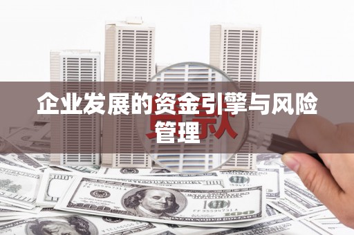 狮子山企业发展的资金引擎与风险管理