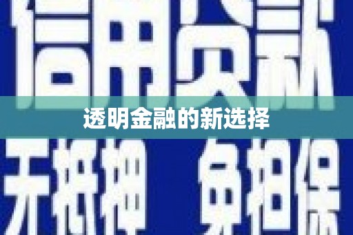 狮子山透明金融的新选择