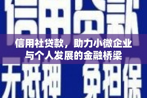 狮子山信用社贷款，助力小微企业与个人发展的金融桥梁