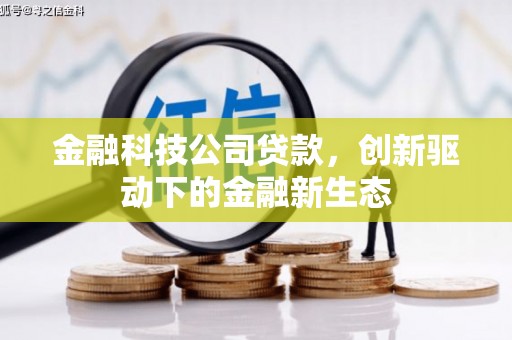 狮子山金融科技公司贷款，创新驱动下的金融新生态