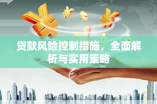 狮子山贷款风险控制措施，全面解析与实用策略
