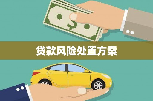 狮子山贷款风险处置方案