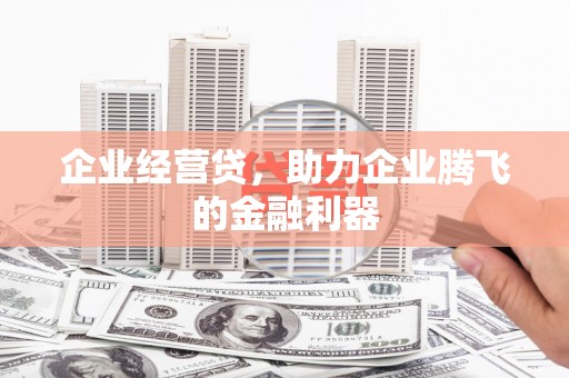 狮子山企业经营贷，助力企业腾飞的金融利器