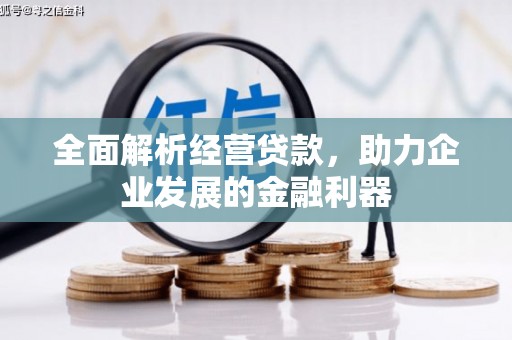 狮子山全面解析经营贷款，助力企业发展的金融利器