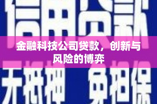 狮子山金融科技公司贷款，创新与风险的博弈
