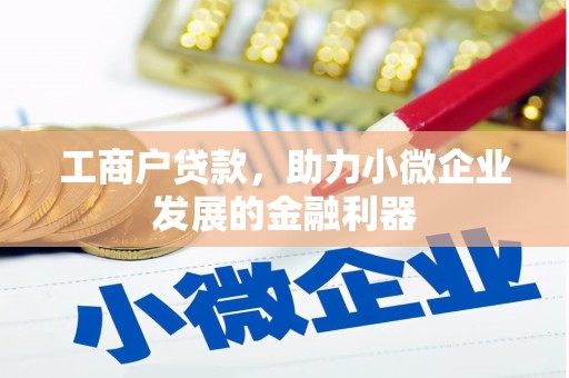 狮子山工商户贷款，助力小微企业发展的金融利器