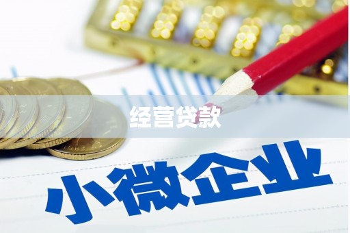 狮子山经营贷款