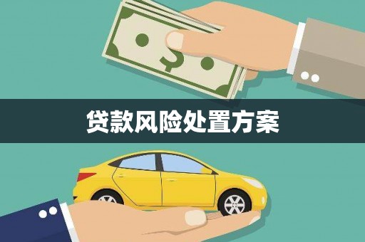 狮子山贷款风险处置方案