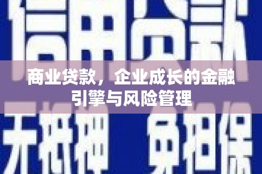 狮子山商业贷款，企业成长的金融引擎与风险管理