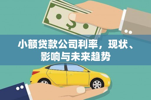 狮子山小额贷款公司利率，现状、影响与未来趋势