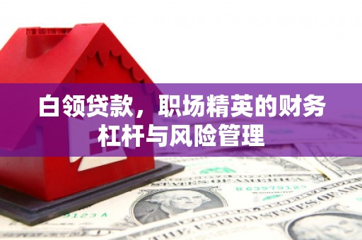 狮子山白领贷款，职场精英的财务杠杆与风险管理