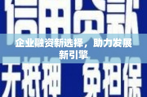 狮子山企业融资新选择，助力发展新引擎