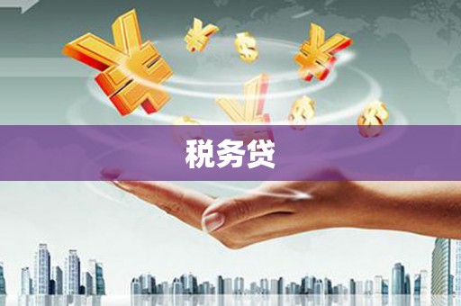 狮子山税务贷