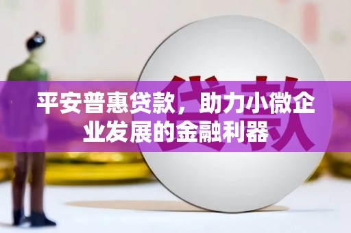 狮子山平安普惠贷款，助力小微企业发展的金融利器