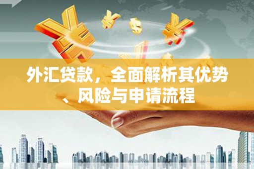 狮子山外汇贷款，全面解析其优势、风险与申请流程