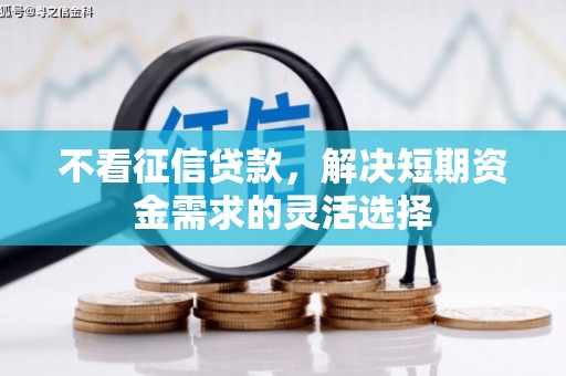 狮子山不看征信贷款，解决短期资金需求的灵活选择