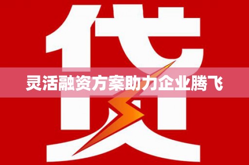 狮子山灵活融资方案助力企业腾飞