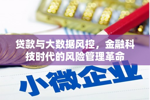 狮子山贷款与大数据风控，金融科技时代的风险管理革命