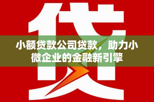 狮子山小额贷款公司贷款，助力小微企业的金融新引擎