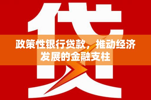 狮子山政策性银行贷款，推动经济发展的金融支柱