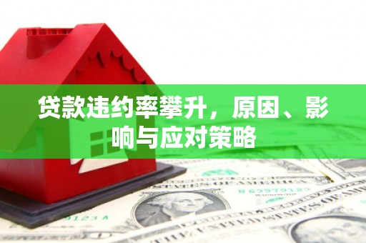 狮子山贷款违约率攀升，原因、影响与应对策略