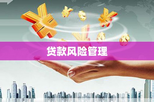 狮子山贷款风险管理