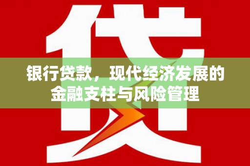 狮子山银行贷款，现代经济发展的金融支柱与风险管理