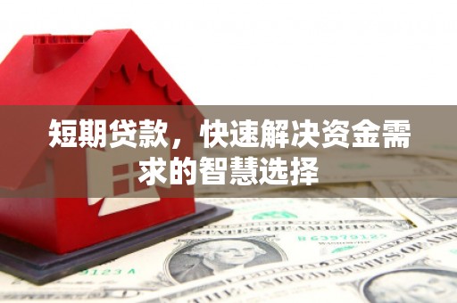 狮子山短期贷款，快速解决资金需求的智慧选择
