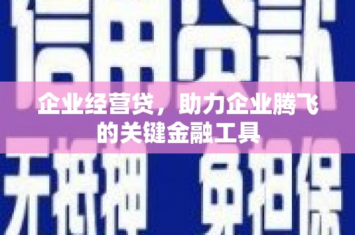 狮子山企业经营贷，助力企业腾飞的关键金融工具