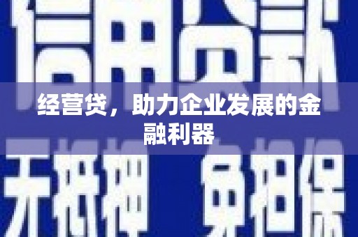 狮子山经营贷，助力企业发展的金融利器