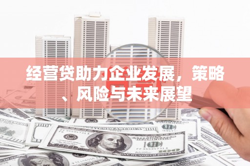 狮子山经营贷助力企业发展，策略、风险与未来展望