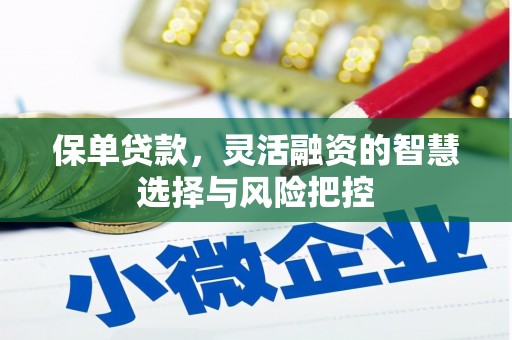狮子山保单贷款，灵活融资的智慧选择与风险把控