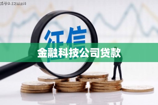 狮子山金融科技公司贷款