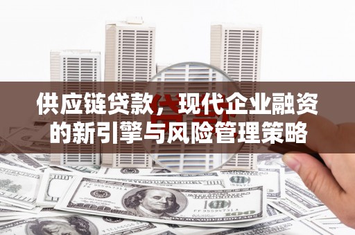 狮子山供应链贷款，现代企业融资的新引擎与风险管理策略