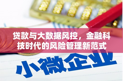 狮子山贷款与大数据风控，金融科技时代的风险管理新范式