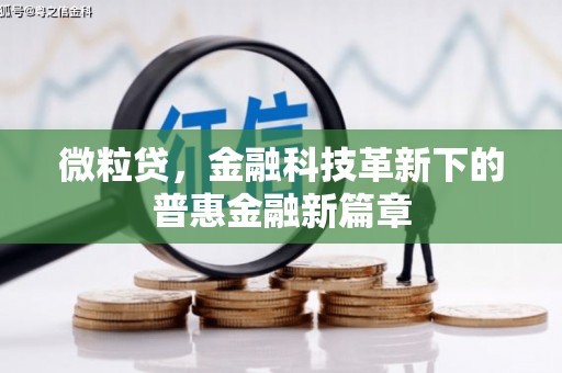 狮子山微粒贷，金融科技革新下的普惠金融新篇章