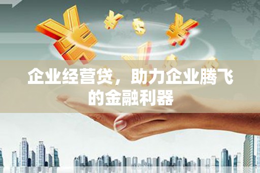 狮子山企业经营贷，助力企业腾飞的金融利器