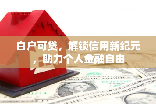 狮子山白户可贷，解锁信用新纪元，助力个人金融自由