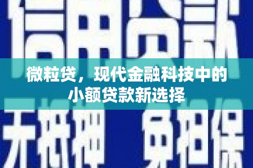 狮子山微粒贷，现代金融科技中的小额贷款新选择