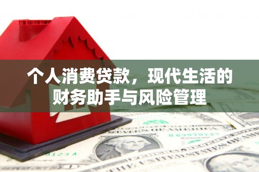 狮子山个人消费贷款，现代生活的财务助手与风险管理