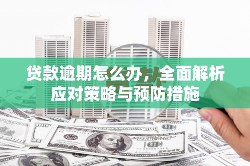 狮子山贷款逾期怎么办，全面解析应对策略与预防措施