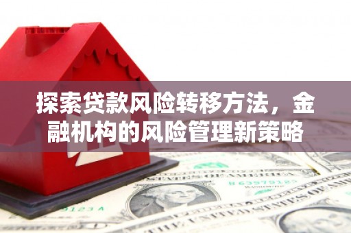 狮子山探索贷款风险转移方法，金融机构的风险管理新策略