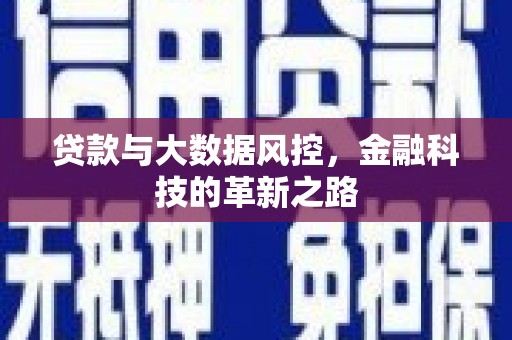 狮子山贷款与大数据风控，金融科技的革新之路